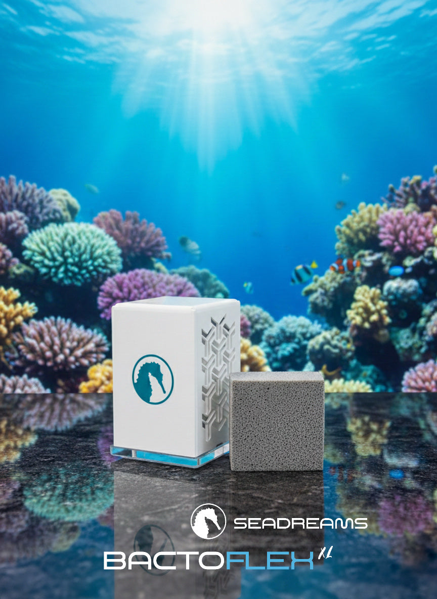 Seadreams Bactoflex