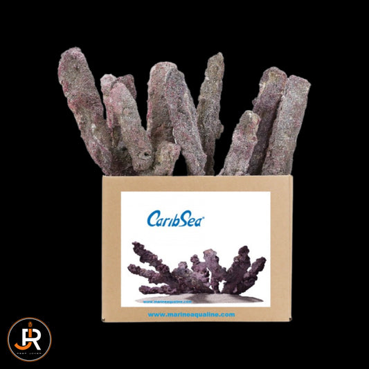 Caribsea Belize Branch Dry Life Rock