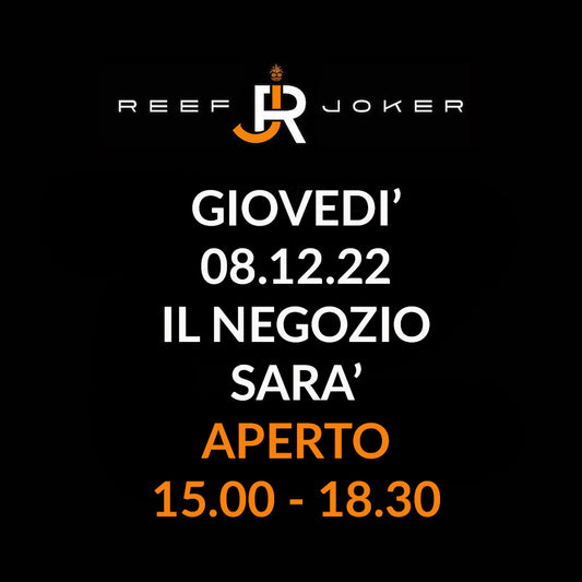 Giovedì 08.12.22 Aperto