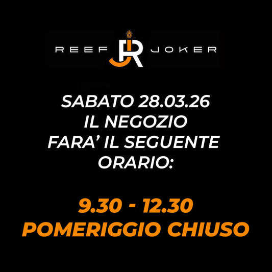 Sabato 28.03.26 aperto solo Mattina