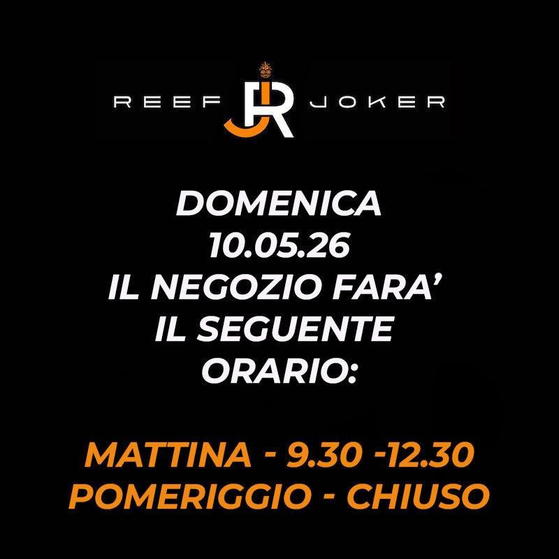 Domenica 10.05.26 Orario