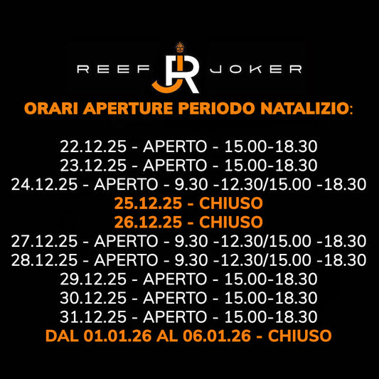 ORARI PERIODO NATALIZIO