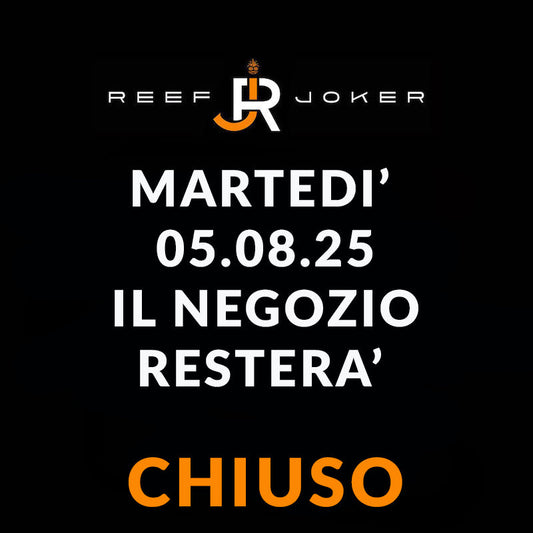 Martedì 05.08.25 Chiuso