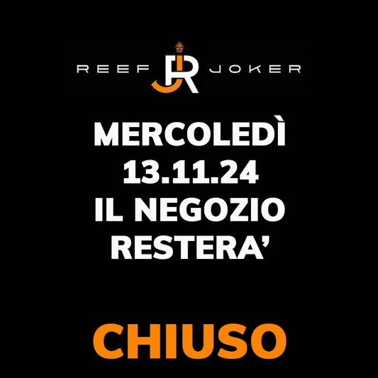 Mercoledì 13.11.24 Chiuso