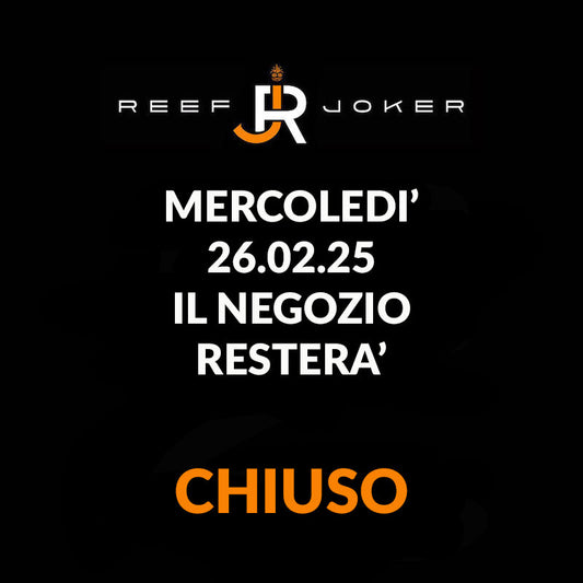 Mercoledi 26.02.25 Chiuso