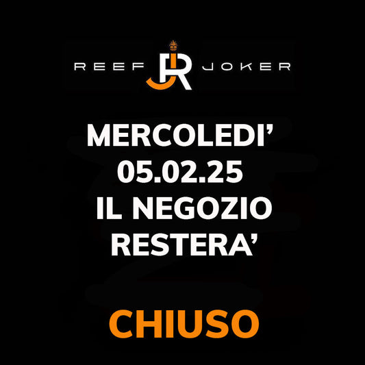 Mercoledì 05.02.25 Chiuso