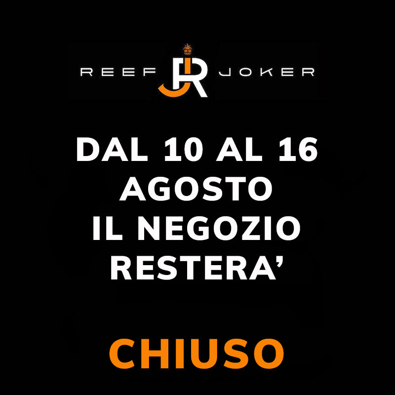 Chiuso dal 10 al 16 Agosto