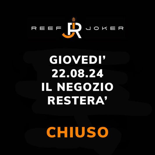 Giovedì 22.08.24 Chiuso