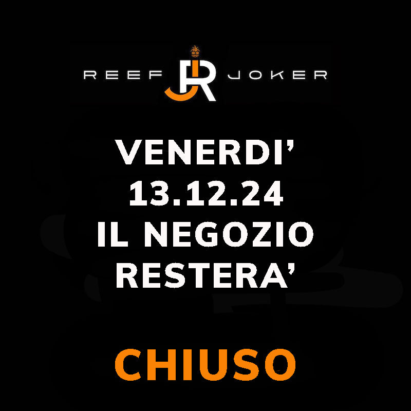 Venerdì 13.12.24 Chiuso