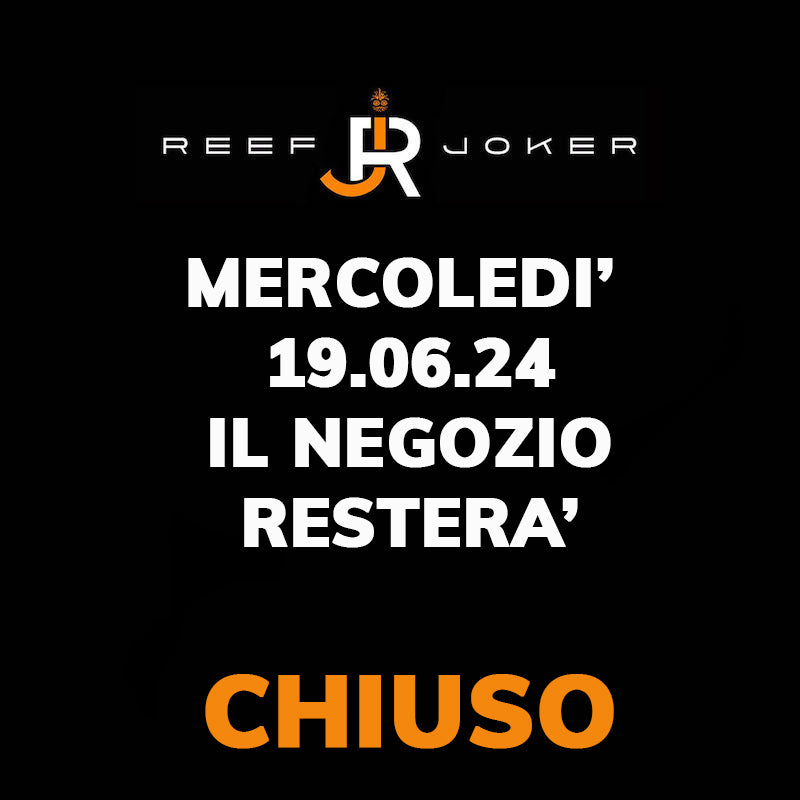 Mercoledì 19.06.24 Chiuso