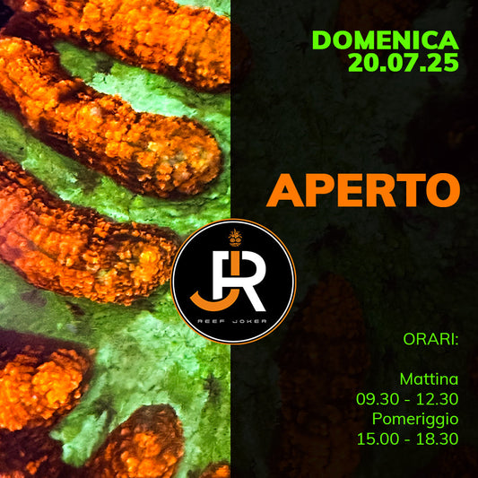 Domenica 20.07.25 Aperto