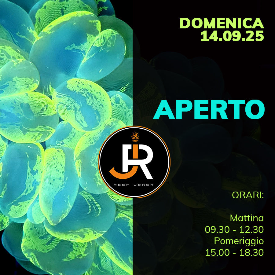 Domenica 14.09.25 Aperto