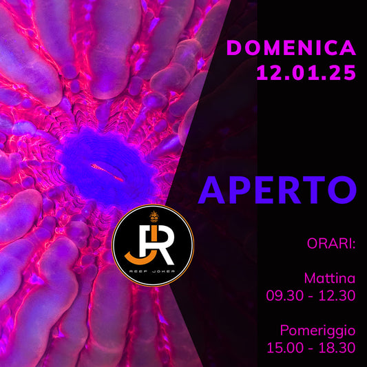 Domenica 12.01.25 Aperto
