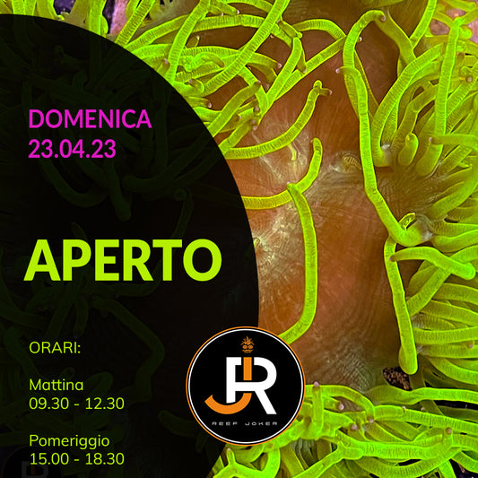 Domenica 23.04.23 Aperto