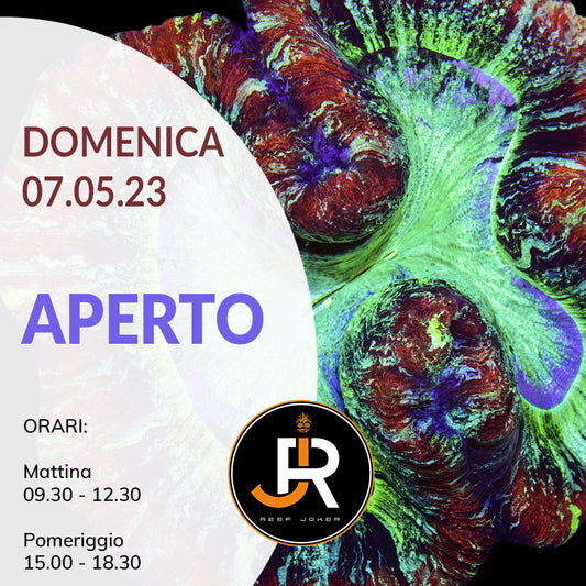 Domenica 07.05.23 Aperto