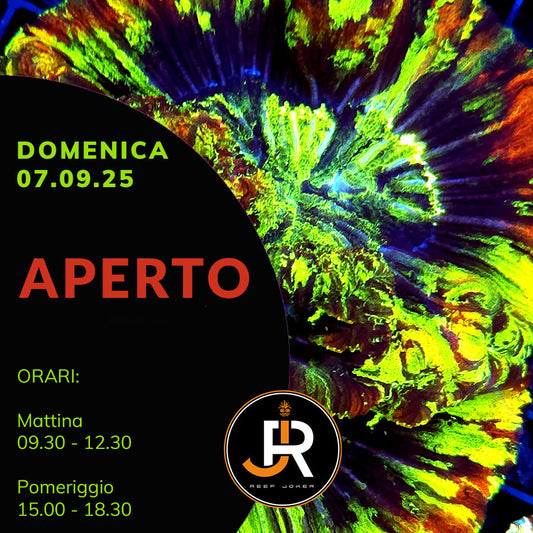 Domenica 07.09.25 Aperto