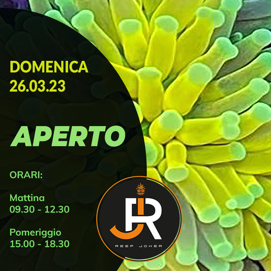 Domenica 23.03.23 Aperto