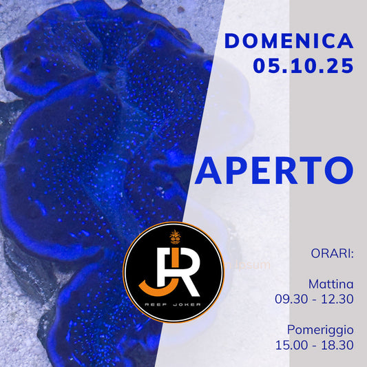 Domenica 05.10.25 Aperto