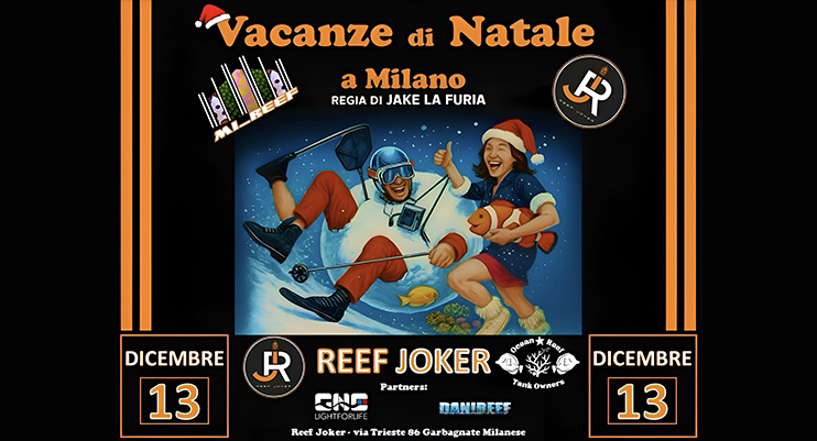 MI_REEF – Vacanze di Natale a Milano