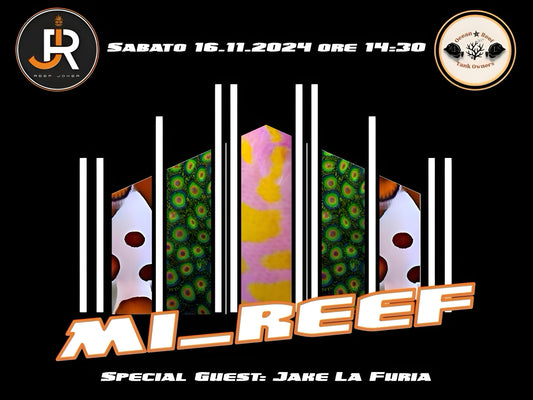 Sabato 16.11.24 MI-REEF