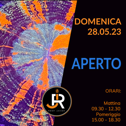 Domenica 28.05.23 Aperto