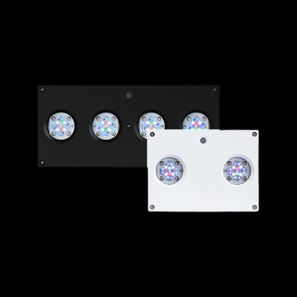 Supporti Regolabili Per Luci Acquario KESOTO – 2 Clip In PP, Adattabili A Bordi Da 6.5 A 11 Cm, Per Vasche Marine E D'acqua Dolce
