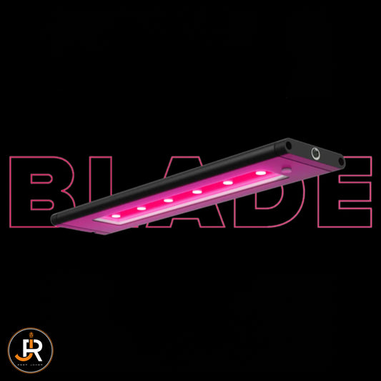 Ai Blade Refugium